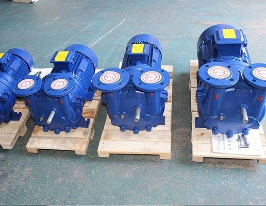 Liquid Water Ring Single Two Stage Air Pressure Vertical Type Reciprocating Piston Pump Slide Valve Vacuum Pump for Chemical Industry